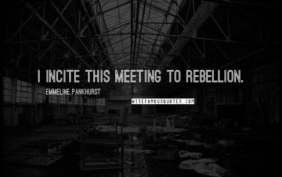 Emmeline Pankhurst Quotes: I incite this meeting to rebellion.