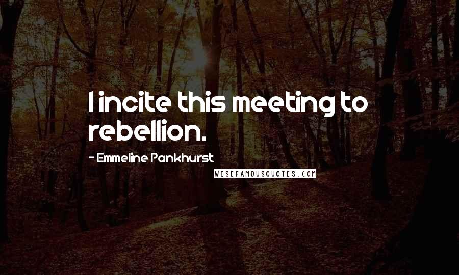 Emmeline Pankhurst Quotes: I incite this meeting to rebellion.