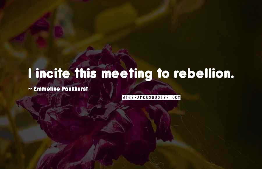 Emmeline Pankhurst Quotes: I incite this meeting to rebellion.