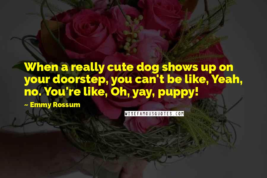 Emmy Rossum Quotes: When a really cute dog shows up on your doorstep, you can't be like, Yeah, no. You're like, Oh, yay, puppy!