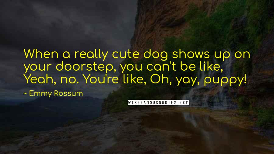 Emmy Rossum Quotes: When a really cute dog shows up on your doorstep, you can't be like, Yeah, no. You're like, Oh, yay, puppy!