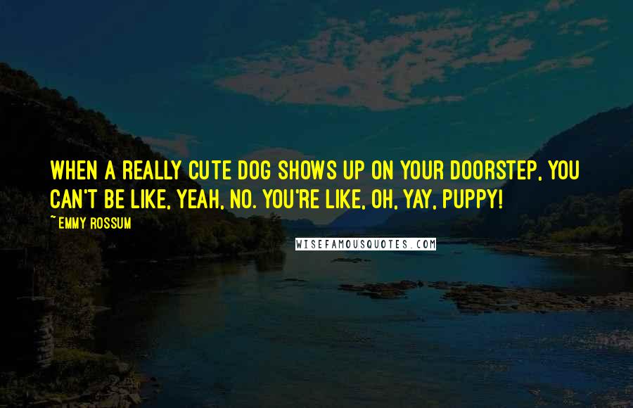 Emmy Rossum Quotes: When a really cute dog shows up on your doorstep, you can't be like, Yeah, no. You're like, Oh, yay, puppy!
