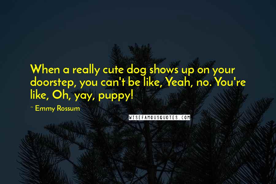 Emmy Rossum Quotes: When a really cute dog shows up on your doorstep, you can't be like, Yeah, no. You're like, Oh, yay, puppy!