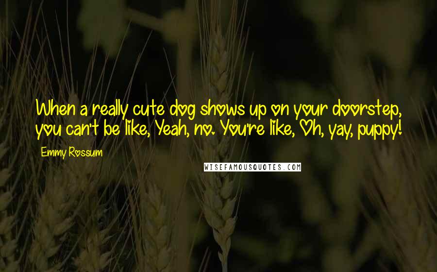 Emmy Rossum Quotes: When a really cute dog shows up on your doorstep, you can't be like, Yeah, no. You're like, Oh, yay, puppy!