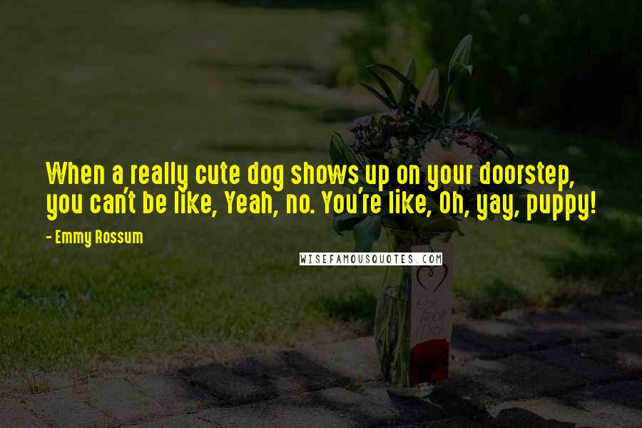 Emmy Rossum Quotes: When a really cute dog shows up on your doorstep, you can't be like, Yeah, no. You're like, Oh, yay, puppy!