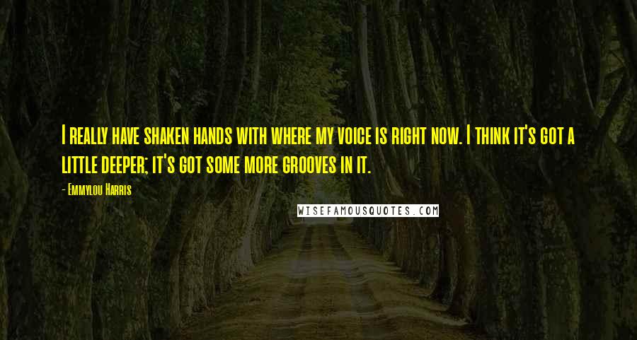 Emmylou Harris Quotes: I really have shaken hands with where my voice is right now. I think it's got a little deeper; it's got some more grooves in it.