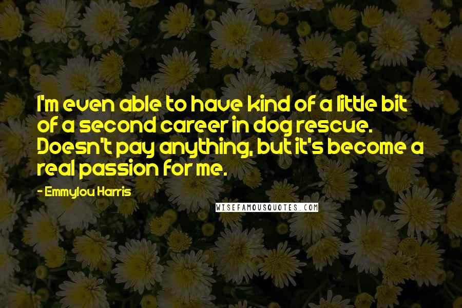 Emmylou Harris Quotes: I'm even able to have kind of a little bit of a second career in dog rescue. Doesn't pay anything, but it's become a real passion for me.