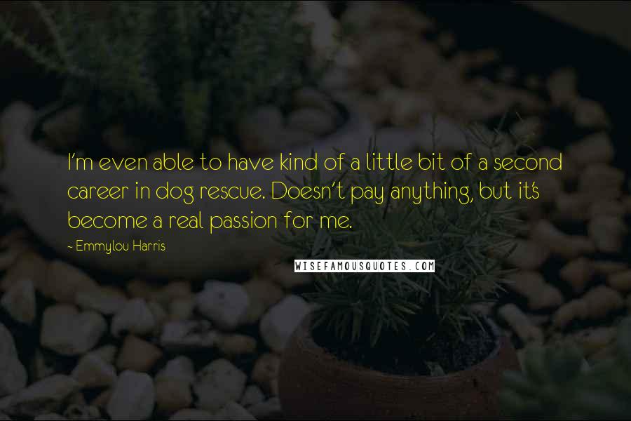 Emmylou Harris Quotes: I'm even able to have kind of a little bit of a second career in dog rescue. Doesn't pay anything, but it's become a real passion for me.
