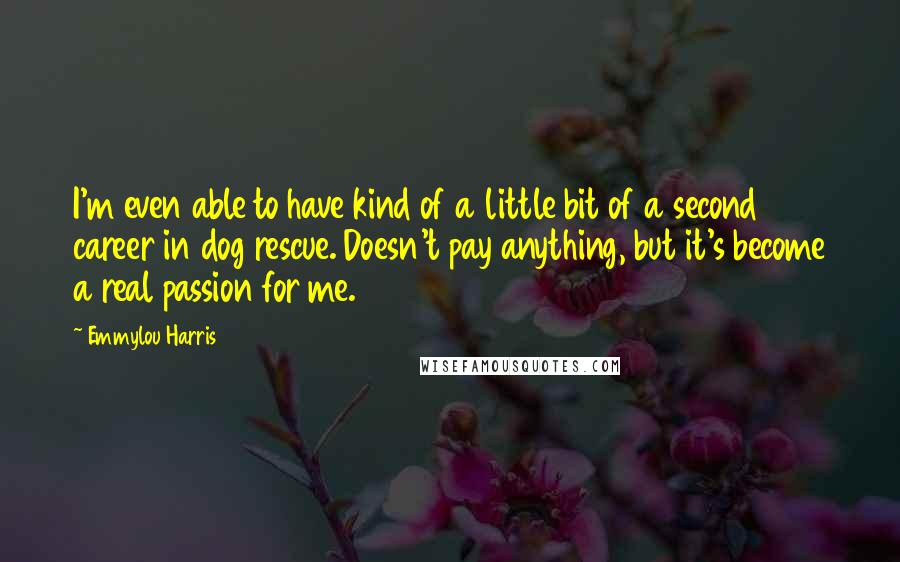 Emmylou Harris Quotes: I'm even able to have kind of a little bit of a second career in dog rescue. Doesn't pay anything, but it's become a real passion for me.