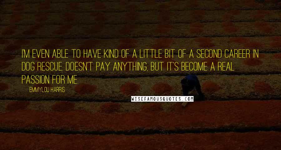 Emmylou Harris Quotes: I'm even able to have kind of a little bit of a second career in dog rescue. Doesn't pay anything, but it's become a real passion for me.