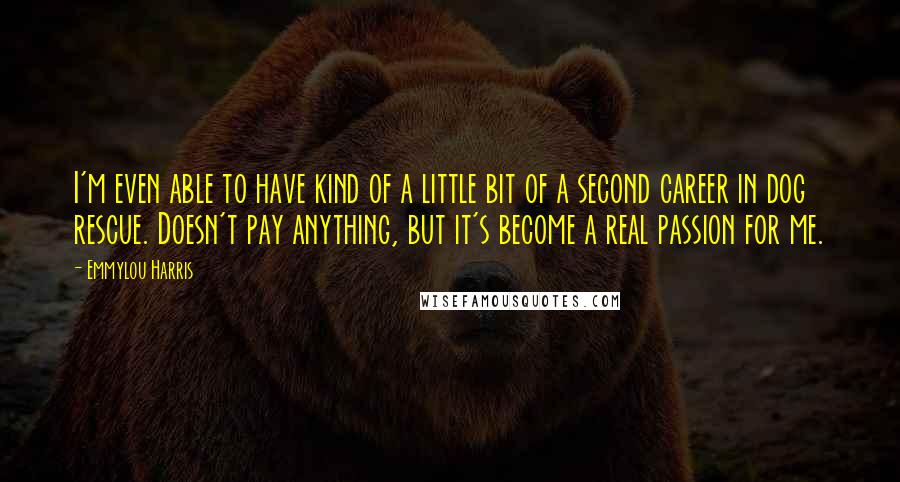 Emmylou Harris Quotes: I'm even able to have kind of a little bit of a second career in dog rescue. Doesn't pay anything, but it's become a real passion for me.