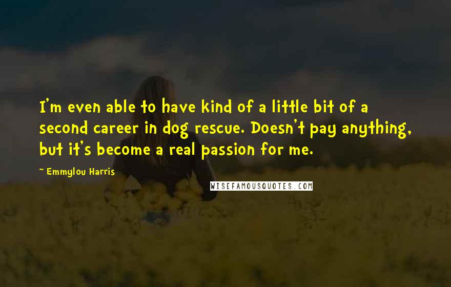 Emmylou Harris Quotes: I'm even able to have kind of a little bit of a second career in dog rescue. Doesn't pay anything, but it's become a real passion for me.