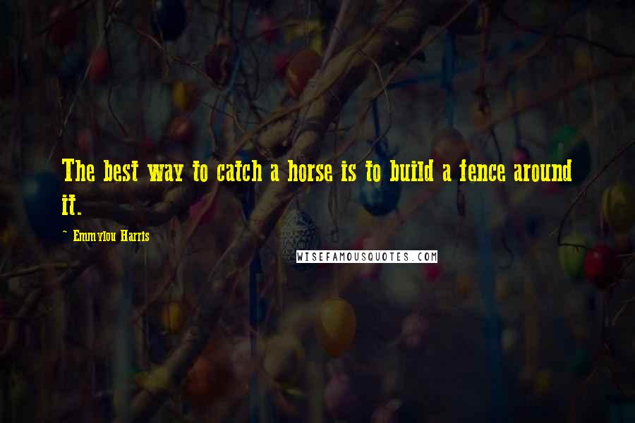 Emmylou Harris Quotes: The best way to catch a horse is to build a fence around it.