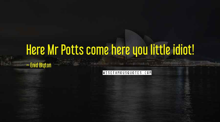 Enid Blyton Quotes: Here Mr Potts come here you little idiot!