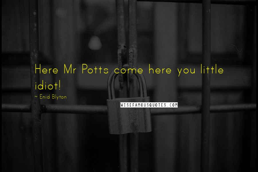 Enid Blyton Quotes: Here Mr Potts come here you little idiot!