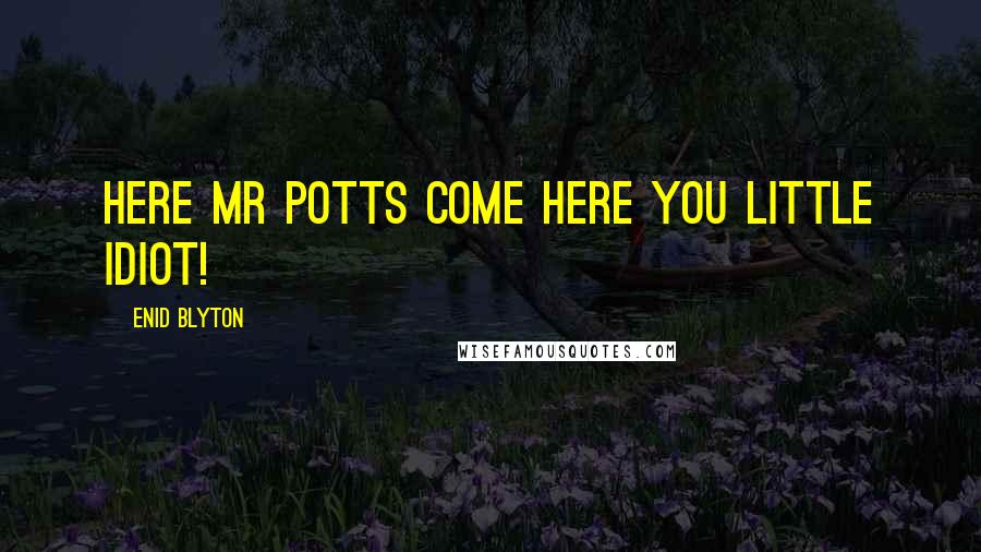 Enid Blyton Quotes: Here Mr Potts come here you little idiot!