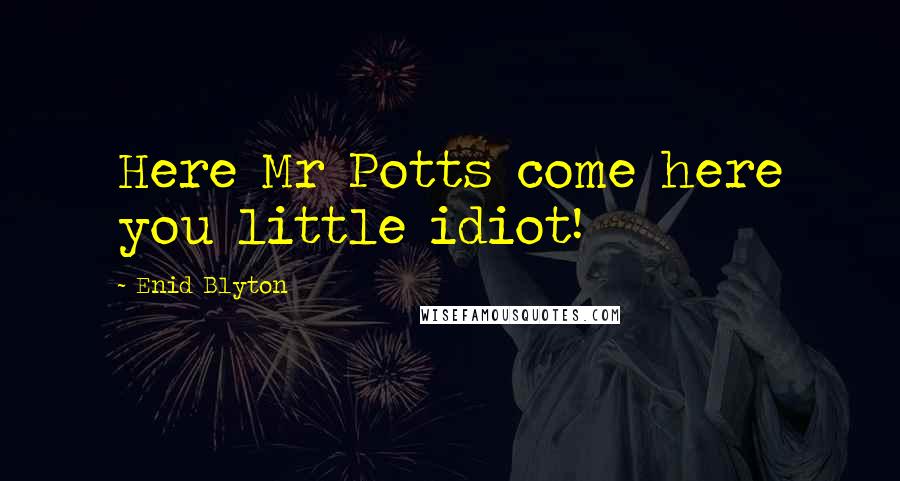 Enid Blyton Quotes: Here Mr Potts come here you little idiot!