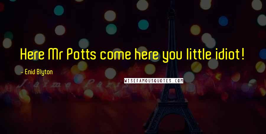 Enid Blyton Quotes: Here Mr Potts come here you little idiot!