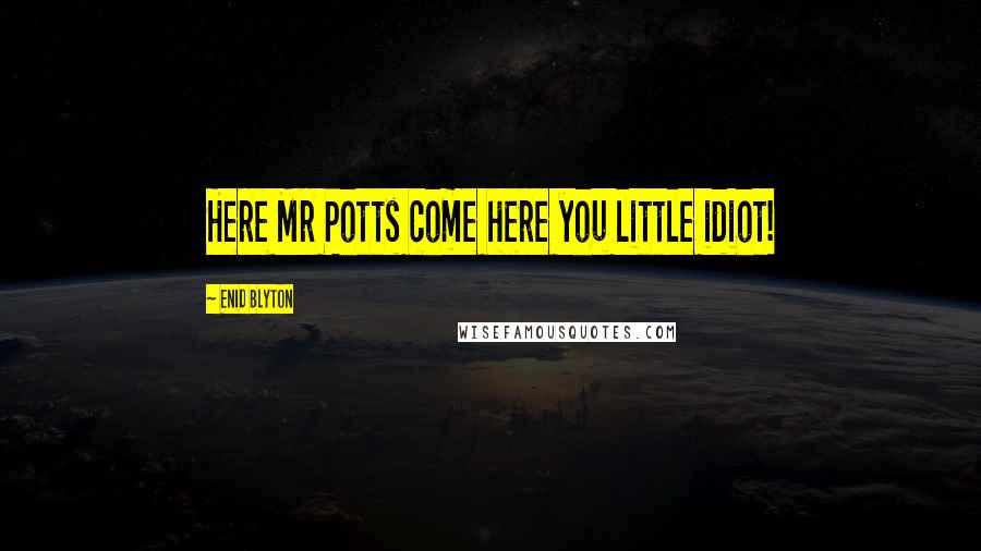 Enid Blyton Quotes: Here Mr Potts come here you little idiot!