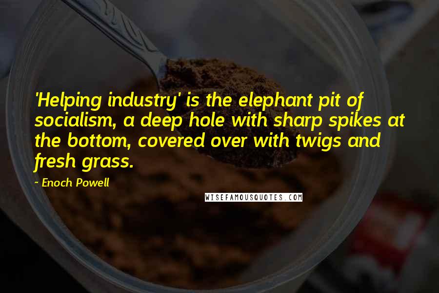 Enoch Powell Quotes: 'Helping industry' is the elephant pit of socialism, a deep hole with sharp spikes at the bottom, covered over with twigs and fresh grass.