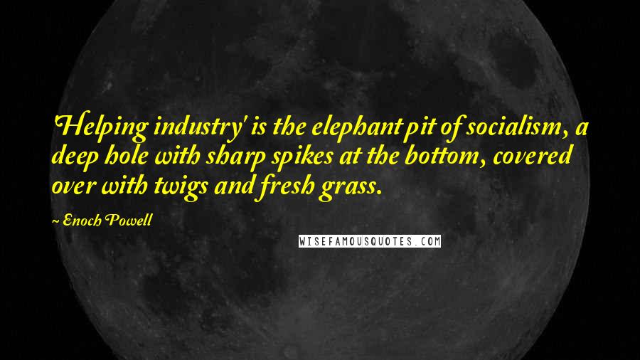 Enoch Powell Quotes: 'Helping industry' is the elephant pit of socialism, a deep hole with sharp spikes at the bottom, covered over with twigs and fresh grass.