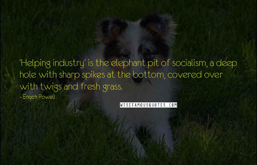 Enoch Powell Quotes: 'Helping industry' is the elephant pit of socialism, a deep hole with sharp spikes at the bottom, covered over with twigs and fresh grass.