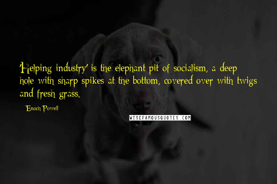 Enoch Powell Quotes: 'Helping industry' is the elephant pit of socialism, a deep hole with sharp spikes at the bottom, covered over with twigs and fresh grass.