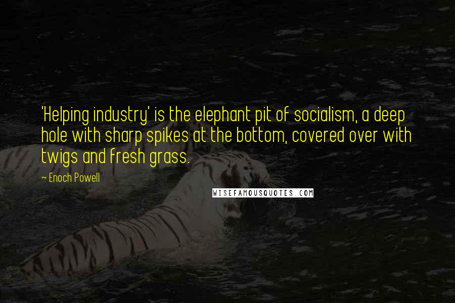 Enoch Powell Quotes: 'Helping industry' is the elephant pit of socialism, a deep hole with sharp spikes at the bottom, covered over with twigs and fresh grass.