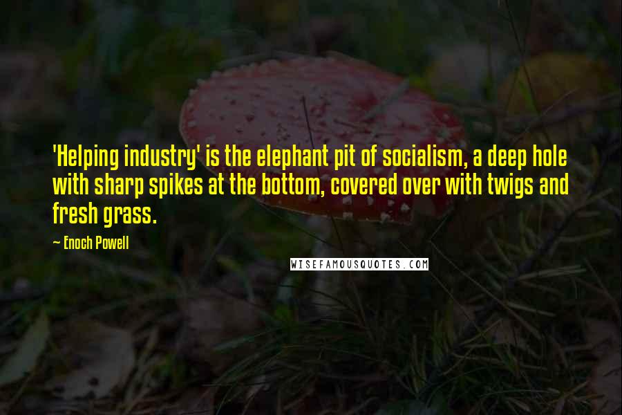 Enoch Powell Quotes: 'Helping industry' is the elephant pit of socialism, a deep hole with sharp spikes at the bottom, covered over with twigs and fresh grass.