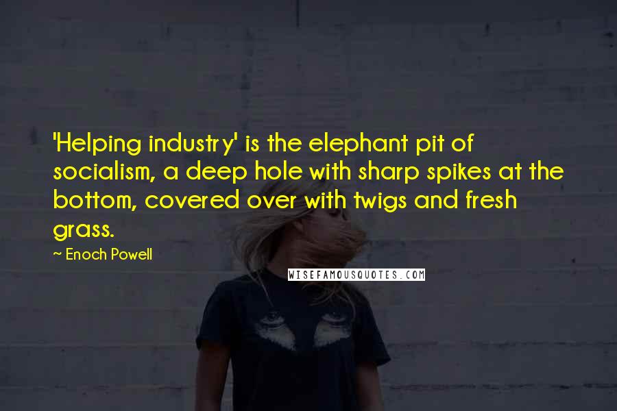 Enoch Powell Quotes: 'Helping industry' is the elephant pit of socialism, a deep hole with sharp spikes at the bottom, covered over with twigs and fresh grass.