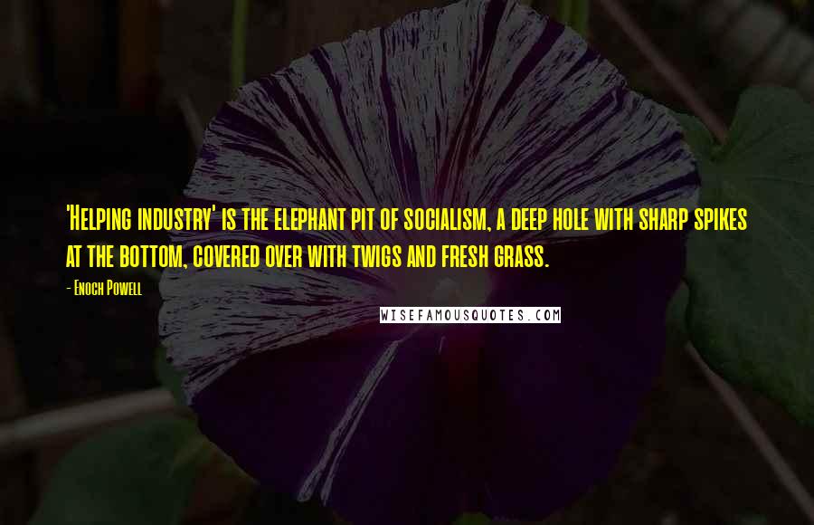 Enoch Powell Quotes: 'Helping industry' is the elephant pit of socialism, a deep hole with sharp spikes at the bottom, covered over with twigs and fresh grass.