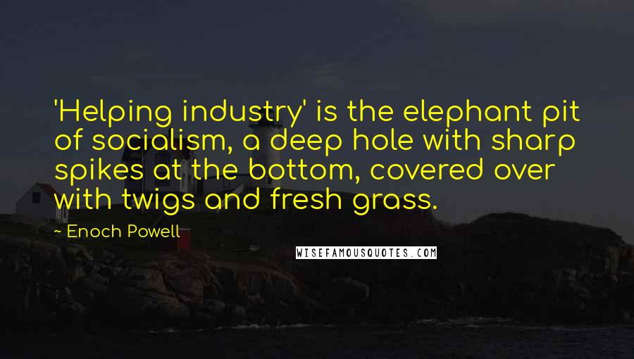 Enoch Powell Quotes: 'Helping industry' is the elephant pit of socialism, a deep hole with sharp spikes at the bottom, covered over with twigs and fresh grass.