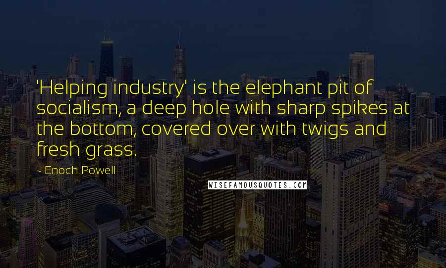 Enoch Powell Quotes: 'Helping industry' is the elephant pit of socialism, a deep hole with sharp spikes at the bottom, covered over with twigs and fresh grass.