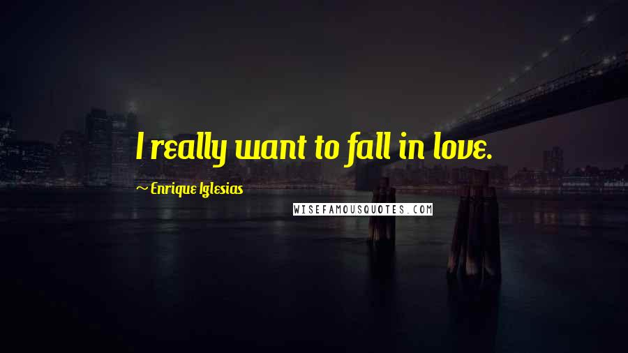 Enrique Iglesias Quotes: I really want to fall in love.