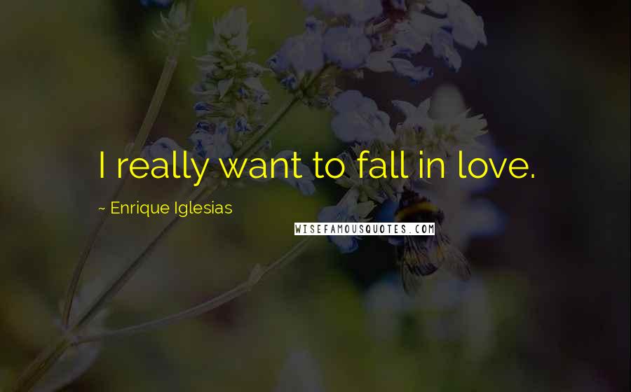 Enrique Iglesias Quotes: I really want to fall in love.