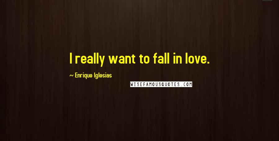 Enrique Iglesias Quotes: I really want to fall in love.