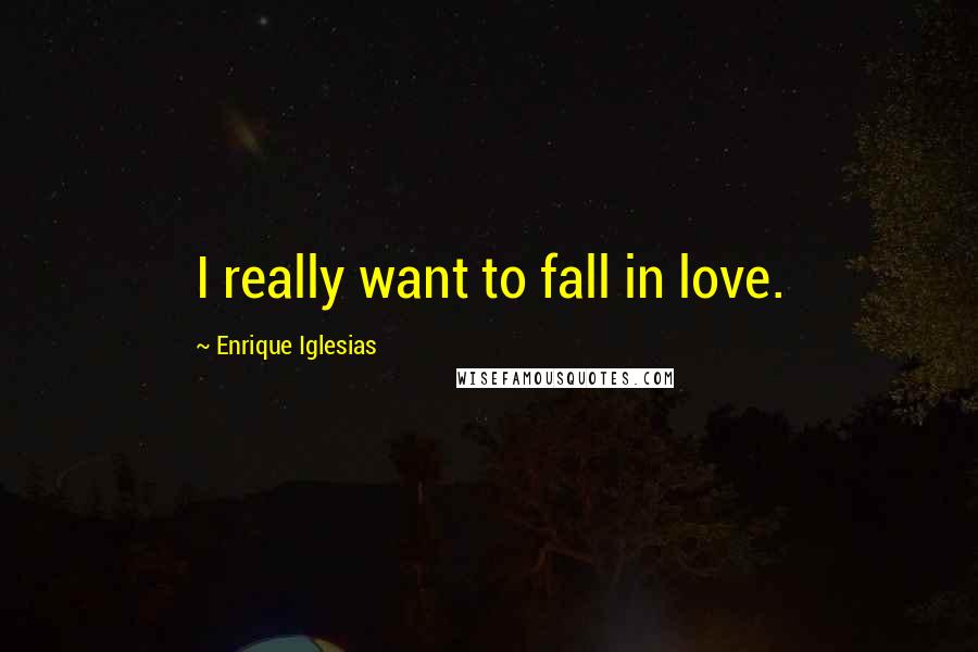 Enrique Iglesias Quotes: I really want to fall in love.