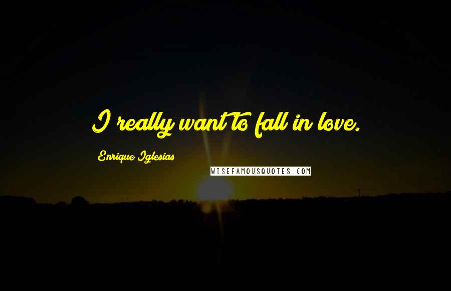 Enrique Iglesias Quotes: I really want to fall in love.