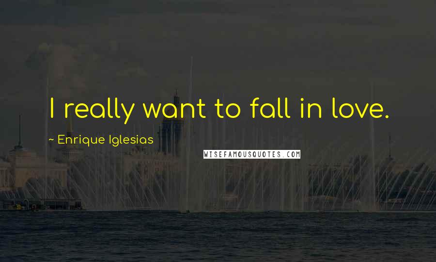 Enrique Iglesias Quotes: I really want to fall in love.