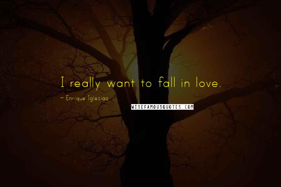 Enrique Iglesias Quotes: I really want to fall in love.