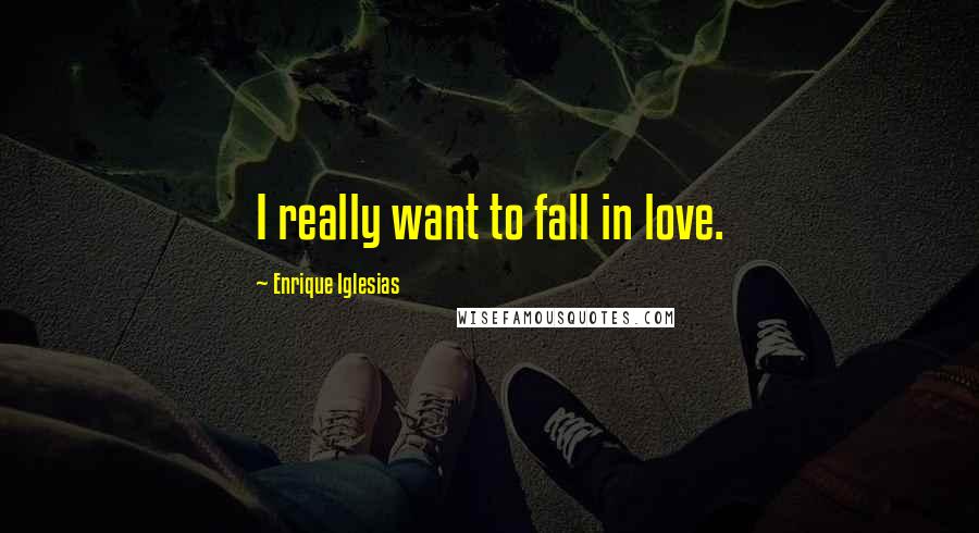 Enrique Iglesias Quotes: I really want to fall in love.