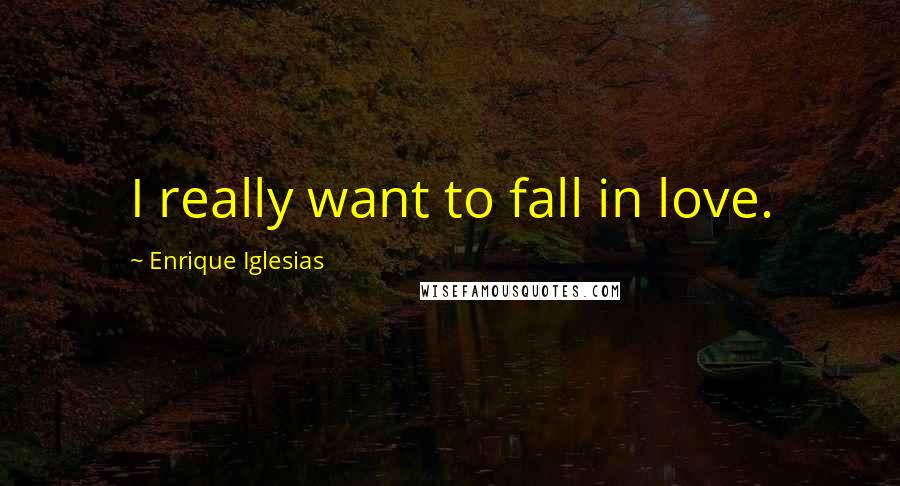 Enrique Iglesias Quotes: I really want to fall in love.