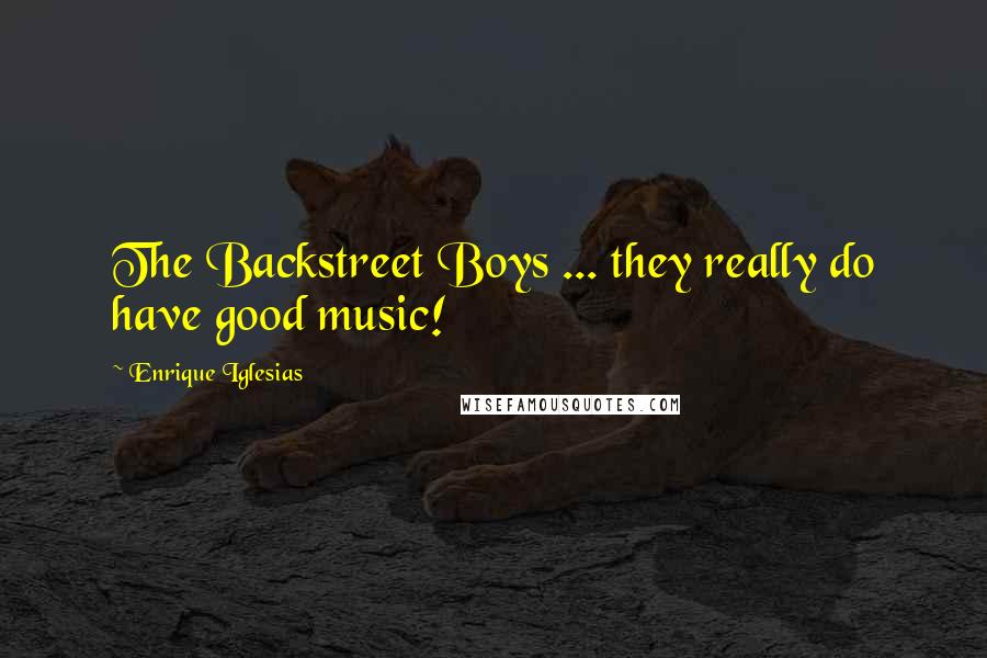 Enrique Iglesias Quotes: The Backstreet Boys ... they really do have good music!