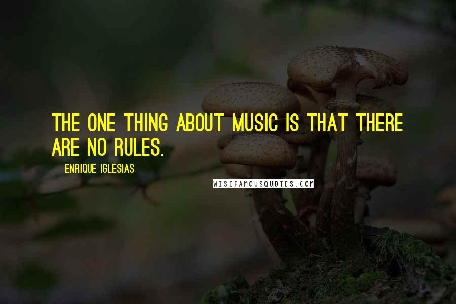 Enrique Iglesias Quotes: The one thing about music is that there are no rules.