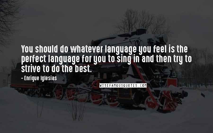 Enrique Iglesias Quotes: You should do whatever language you feel is the perfect language for you to sing in and then try to strive to do the best.