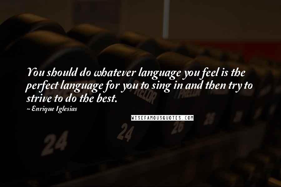 Enrique Iglesias Quotes: You should do whatever language you feel is the perfect language for you to sing in and then try to strive to do the best.