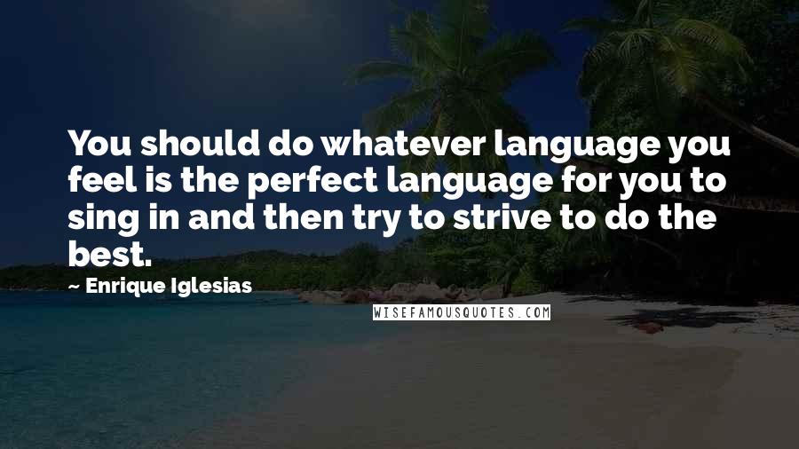 Enrique Iglesias Quotes: You should do whatever language you feel is the perfect language for you to sing in and then try to strive to do the best.