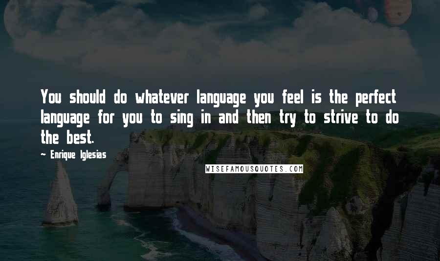 Enrique Iglesias Quotes: You should do whatever language you feel is the perfect language for you to sing in and then try to strive to do the best.