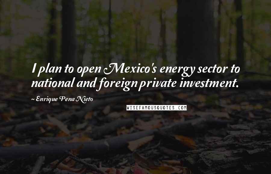 Enrique Pena Nieto Quotes: I plan to open Mexico's energy sector to national and foreign private investment.