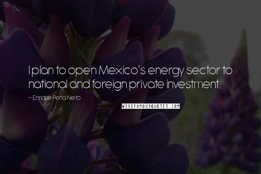 Enrique Pena Nieto Quotes: I plan to open Mexico's energy sector to national and foreign private investment.